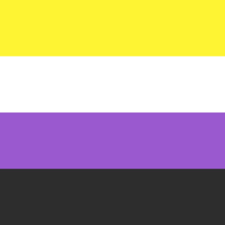 Non-Binary vlag